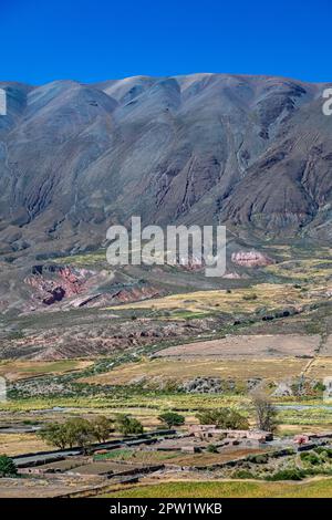 Das Dorf La Poma in Argentinien in den Anden Südamerikas. Stockfoto