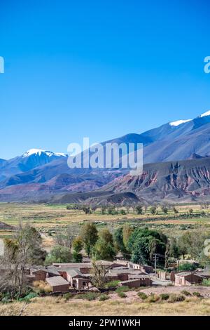 Das Dorf La Poma in Argentinien in den Anden Südamerikas. Stockfoto