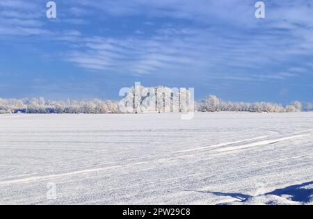 Ein weißes, schneebedecktes Stück Ackerland im Winter an einem sonnigen Tag Stockfoto