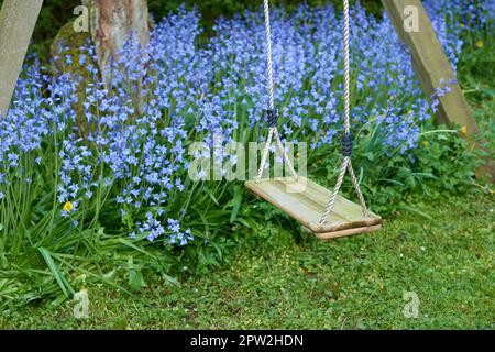 Eine hölzerne Baumschaukel, die mit Nylonseil und einem Hintergrund-Busch mit lebhaften Bluebell-Blumen hängt. Ruhiger, friedlicher privater Hinterhof mit blauer scilla Stockfoto