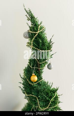 thuja gegen warzen erfahrung PEDIBAEHR Podo-tinktur mit Thuja 30ml - Beautymanufactur Mannheim