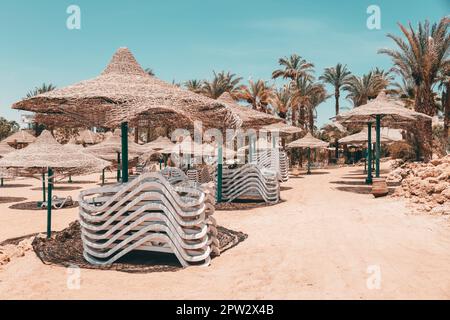 Leerer Strand mit Palmen, weißen Sonnenliegen, Korbschirmen warten auf neue Urlauber der Sommerferien. Verlassene Geräte. Inspirierender Tourismus Stockfoto