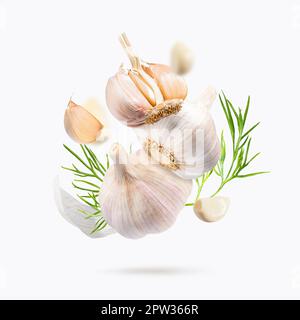 Fliegen in Knoblauch, isoliert auf hellgrauem Hintergrund. Knoblauch mit frischen Dillblättern schweben lassen. Schnittpfad Knoblauch. Knoblauch-Makro-Studiofoto. Stockfoto