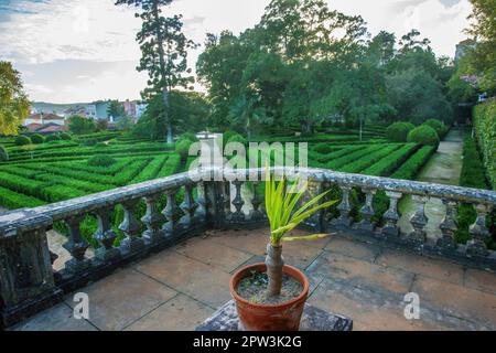 Idyllischer Blick auf den Botanischen Garten Ajuda in Lissabon bei Sonnenuntergang mit topischen Büschen (Buchholz) und Topfpflanzen auf dem Balkon und fantastischen Bäumen Stockfoto