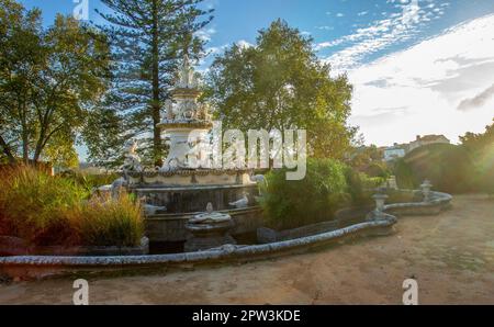 Brunnen (oder ein Denkmal) mit Wasserpflanzen (Cyperus alternifolius). Wohngebäude in der Ferne neben dem botanischen Garten Ajuba in Lissabon Stockfoto