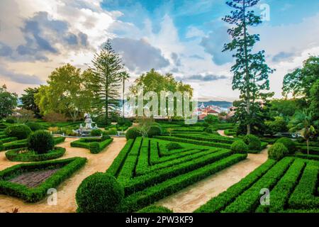 Idyllischer Blick auf den Botanischen Garten Ajuda in Lissabon bei Sonnenuntergang mit topischen Büschen (Buchholz) und fantastischen Bäumen Stockfoto