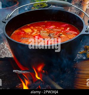 Über einem offenen Feuer wird Wassergulasch zubereitet! Stockfoto