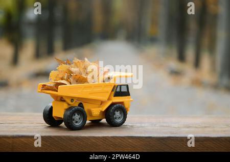 Ein kleines Spielzeug gelbe Lkw ist mit gelben Laub geladen. Das Auto steht auf einem Holz- Oberfläche vor dem Hintergrund einer verschwommenen Herbst Park. Cleanin Stockfoto