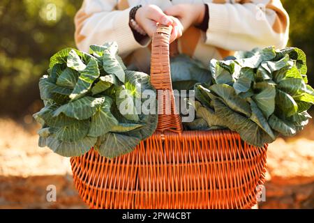 Nicht wiedererkennbare junge Frau, die sich an einem sonnigen Sommertag auf einem Korb mit frischem Kohl und einem berührenden Gesicht lehnt und sich auf einem Ziegelzaun ruht Stockfoto