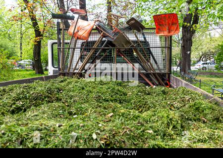 Krakau, Polen. 28. April 2023. In Planty, Krakaus Altstadt, ist eine Strecke voller Gras zu sehen. Eine berühmte touristische Stadt in Polen, beschloss, das Mähen von Gras in öffentlichen Räumen zu beschränken. Wenn das Gras wächst, wird dies der Umwelt helfen, die Stadt im sich wandelnden Klima abkühlen und die biologische Vielfalt fördern. (Kreditbild: © Dominika Zarzycka/SOPA Images via ZUMA Press Wire) NUR REDAKTIONELLE VERWENDUNG! Nicht für den kommerziellen GEBRAUCH! Kredit: ZUMA Press, Inc./Alamy Live News Stockfoto