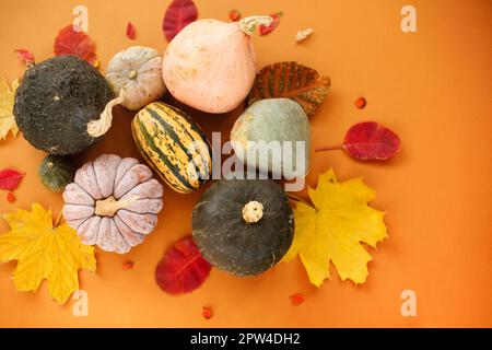 Draufsicht auf kleine reife Kürbisse und verwelkte Herbstblätter Im Kreis auf orangefarbenem Hintergrund angeordnet Stockfoto