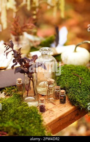 Weicher Fokus der Zusammensetzung von kleinen Glasflaschen und verschiedenen Pflanzen auf Holztisch platziert Stockfoto