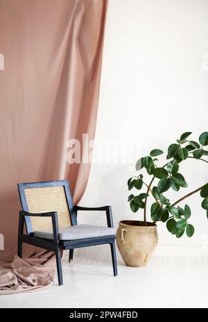 Inszeniertes Foto eines Vintage-Holzstuhls neben einem großen Ficus in einem alten Tontopf vor dem Hintergrund beigefarbener Vorhänge im Wohnzimmer. Pflanzen in der Innenarchitektur Stockfoto