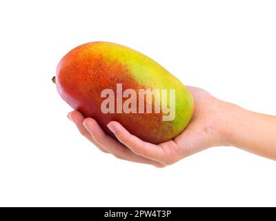 Stillen Sie Ihren Hunger. Nahaufnahme einer Frau, die eine Papaya isoliert auf Weiß hält Stockfoto