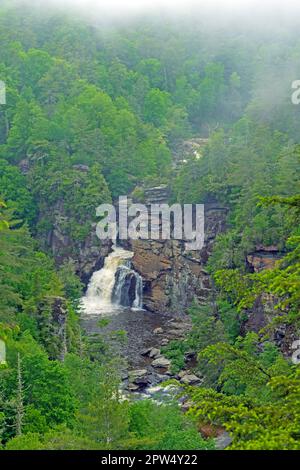 Wasserfall und Felsen in einem Berghang in der Linville Gorge in North Carolina Stockfoto