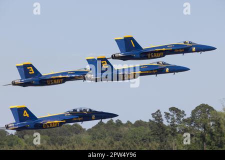 F/A-18 Super Hornets mit U.S. Navy Flight Demonstration Squadron, The Blue Angels, startet am Marine Corps Air Station (MCAS) Beaufort, South Carolina, 20. April 2023. Die Blue Angels üben ihre Flugvorführung, um die lokale Gemeinde für die Beaufort Airshow 2023 zusammenzubringen. (USA Marinekorps (Foto: Lance CPL. Kyle Baskin) Stockfoto