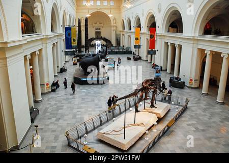 Überblick über die Lobby im Field Museum of Natural History, Chicago. Sue, der vollständigste T Rex, den man je gefunden hat, ist ausgestellt Stockfoto