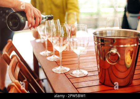 Gläser mit verschiedenen Weinsorten und menschlichen Händen, die Weingläser im Hintergrund halten. Degustationswein Stockfoto