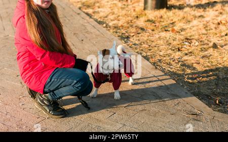 Glückliches Mädchen mit Hund. Porträt Kind mit Haustier Jack Russell Terrier draußen - Haustierbesitzer Stockfoto