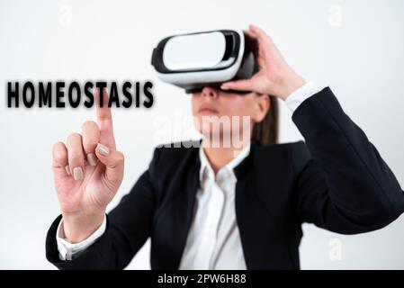 Text zeigt Inspirationshomöostase, Geschäftsansatz die Tendenz zu einem Gleichgewicht zwischen voneinander abhängigen Elementen Stockfoto