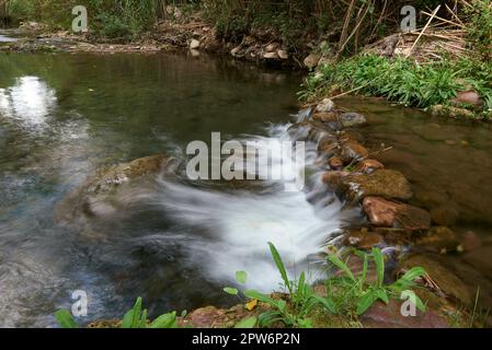 Ein kleiner Wasserfall in einem Bergbach. Lange Exposition, Seideneffekt Wasser, Vegetation, keine Menschen, Leere, Kristallklares Wasser, Schilf, Sonne, Licht Stockfoto