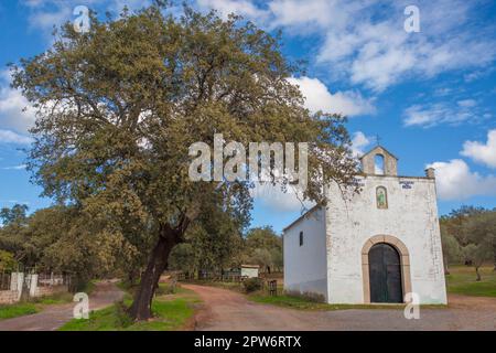 San Isidro Eremitage, Mirandilla, Badajoz, Extremadura, Spanien. Schrein im dehesa-Wald Stockfoto