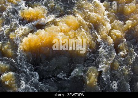 Das schräge Sonnenlicht scheint durch das sprudelnde Wasser eines Flusses mit Stromschnellen Stockfoto