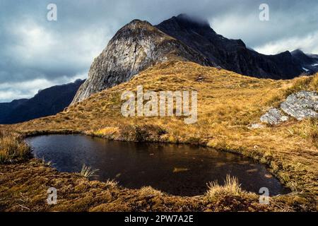 Tarn auf dem Milford Track, Omanui / McKinnon Pass, Fiordland National Park, South Island, Neuseeland Stockfoto