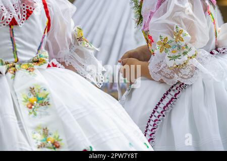 Detail der Tracht, Rakvice, Südmähren, Tschechische Republik Stockfoto