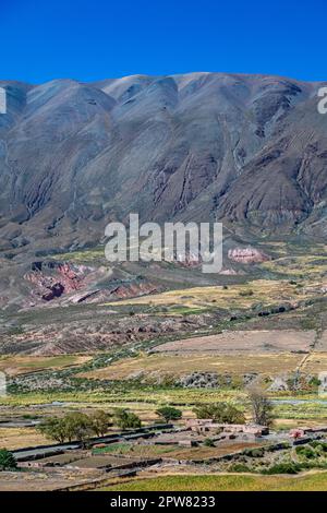 Das Dorf La Poma in Argentinien in den Anden Südamerikas. Stockfoto