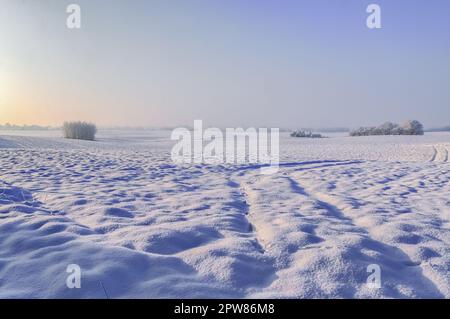 Ein weißes, schneebedecktes Stück Ackerland im Winter an einem sonnigen Tag Stockfoto