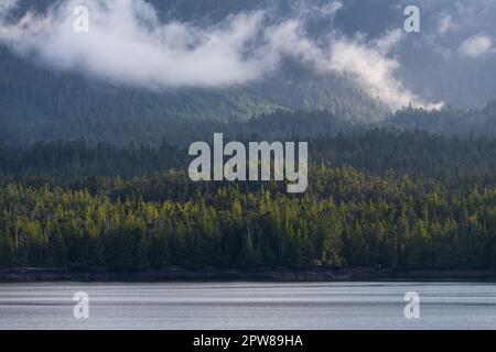 Kiefernwald bei Sonnenaufgang mit Nebel und Nebel entlang der Insider Passage Cruise, British Columbia, Kanada. Stockfoto