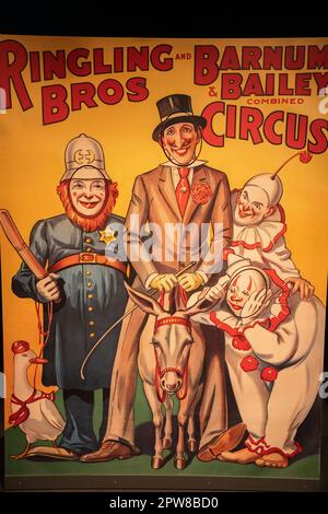 Farbenfrohe Zirkusplakate im John Ringling Circus Museum in Sarasota, Florida. Schöne und originale Poster sind amerikanische Geschichte. Stockfoto