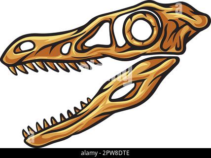 Velociraptor Dinosaurierschädelfossil Stock Vektor
