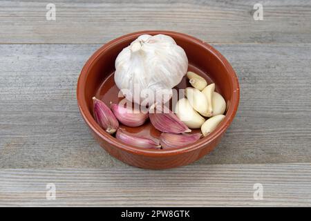 Frischer Knoblauchkopf mit geschälten und ungeschälten Knoblauchzehen in einer kleinen Keramikschüssel Stockfoto