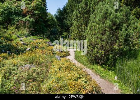 Botanischer Garten der Universität Ljubljana in Ljubljana, Slowenien. Stockfoto