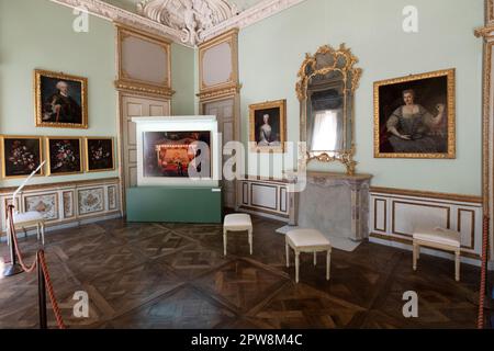 Fotoausstellung „Divas Dog Portraits“ vom Fotografen Francesco Pergolesi in der Villa della Regina, Italien, Turin Stockfoto