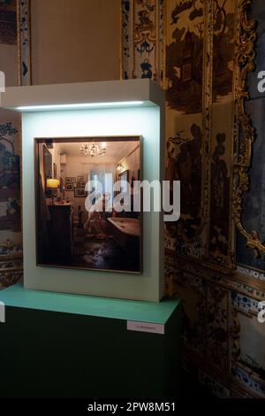 Fotoausstellung „Divas Dog Portraits“ vom Fotografen Francesco Pergolesi in der Villa della Regina, Italien, Turin Stockfoto