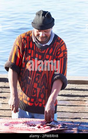 Fische, Fischer und Menschen schneiden, ausnehmen oder Nahrungsmittel, Fleisch oder Meeresfrüchte für den Verkauf auf dem Fischmarkt zubereiten. Meeresfischerhafen, Sushi-Zutaten Stockfoto