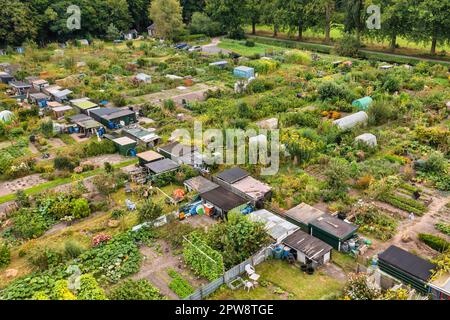 Niederlande, Õs-Graveland, Allotment Gardens. Luftaufnahme. Stockfoto
