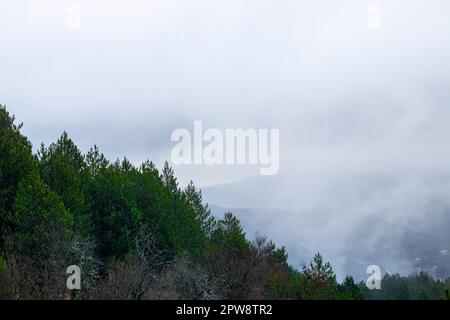 Ein dichter Foggy Forest mit einem Berg im Hintergrund. Geeigneter Titel für Copy Space Stockfoto