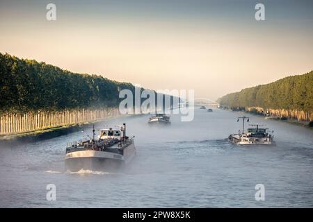 Niederlande, Nigtevecht, Amsterdam-Rhein-Kanal. Binnenschiffe, Frachtschiffe. Stockfoto