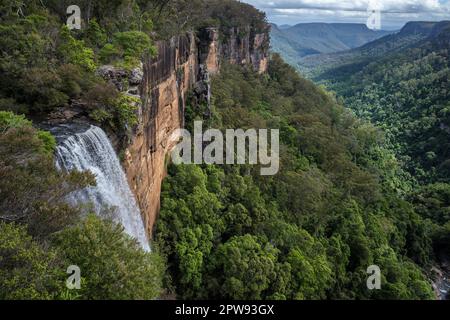 Fitzroy Falls, Morton Nationalpark, New South Wales, Australien Stockfoto