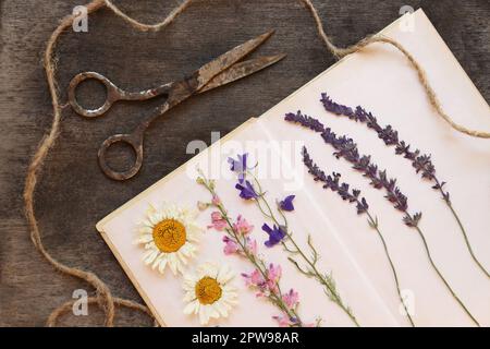 Flache Liegezusammensetzung mit schönen getrockneten Blumen und Buch auf Holztisch Stockfoto