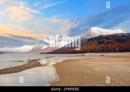 Herbst am See Gjevillvatnet im Bezirk Troendelag im Gebirgsgebiet Trollheimen, Norwegen Stockfoto