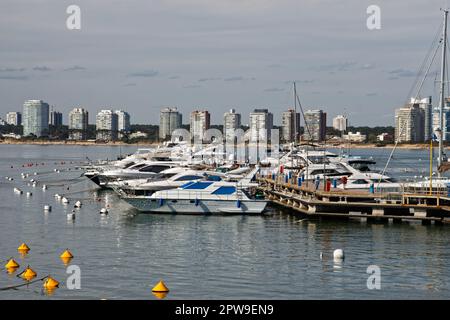 Yachten im Hafen von Punta del Este, Uruguay Stockfoto