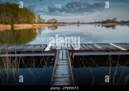 Ein Steg aus Holzplanken auf einem ruhigen See, Stankow, Ostpolen Stockfoto