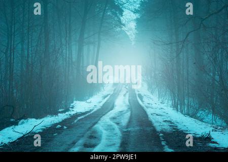 Schneebedeckte Straße durch einen dunklen, nebligen Wald in Nowiny, Polen Stockfoto