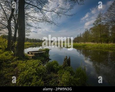 Frühling auf dem kleinen wilden Fluss Grabia in Mittelpolen. Stockfoto