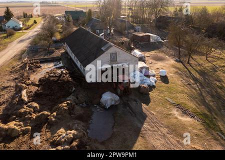 Drohnenfotografie eines Traktors, der im Frühling Heuballen mit Nutztieren in den Schuppen bringt. Stockfoto